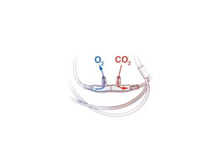 Divided Capnography Cannula