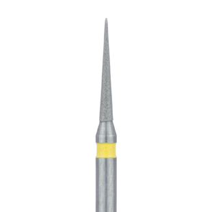 Diamond Bur 858C-010FG