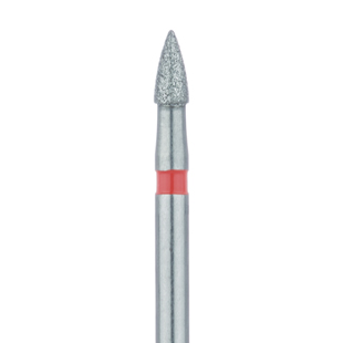 Diamond Bur 895F-016FG