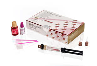 G-CEM LinkForce Starter Kit A2