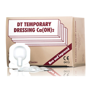 DT Temporary Dressing Paste