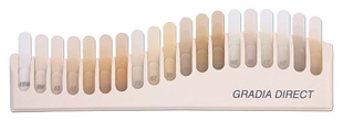 Gradia Direct Shade Guide