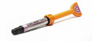 Clearfil Majesty Posterior