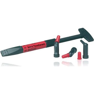 Tetric EvoCeram Refill D2