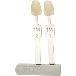 VITA 3D Master Toothguide