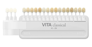 VITA Bleached Shade