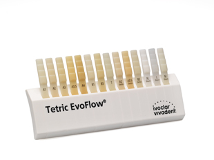 Tetric EvoFlow Shade Guide