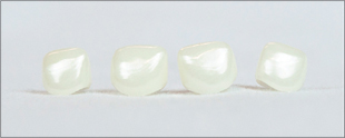 Clear Crown Anterior &