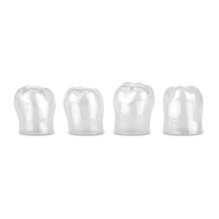 Frasaco Adult Posterior Strip