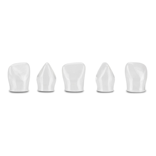 Frasaco Pediatric Strip Crown