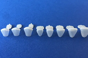 Adult Anterior Crown Refills