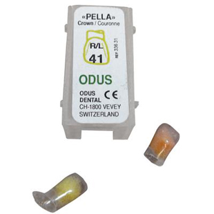 Odus Pella Transparent Crown