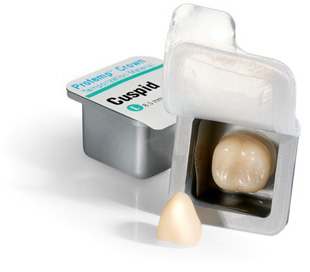 Protemp Crown Temporization