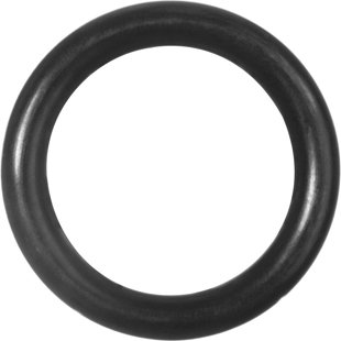 Viton O-Ring 5x0 10/pack