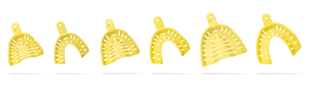 Accudent XD Dentate Trays