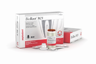 BioRoot RCS Root Canal Sealer