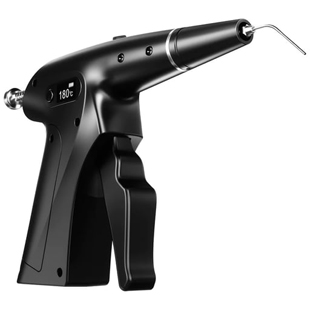 Woodpecker Endo Fi-G