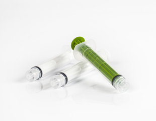 Calasept Syringes 5/pack
