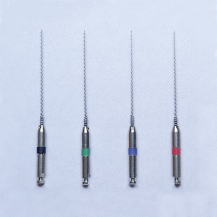 Root Fillers 21mm 25 4/pack
