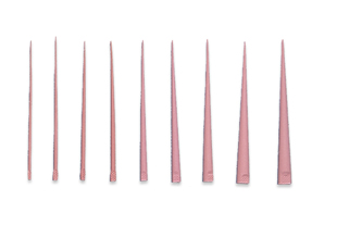 DHP Gutta Percha Points Fine-