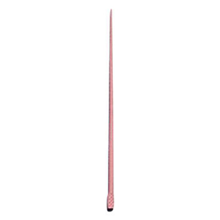 Gutta Percha Accessory Points