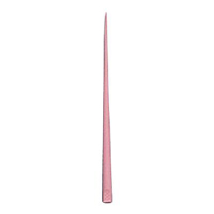 Gutta Percha Accessory Points