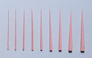 Gutta Percha Accessory