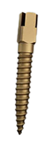 Surtex Gold Plated Posts Intro