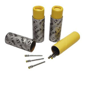 ParaPost XT Titanium Posts