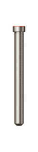 ParaPost XP Titanium Temporary