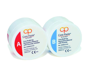 Core Paste Enamel Quick Set