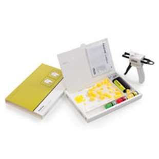 ParaCore Automix Intro