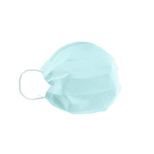 Cranberry S3 ACE Earloop Masks