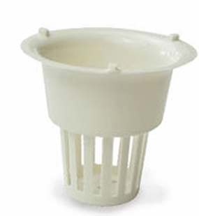 Cuspidor Strainer 100/pkg