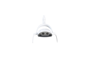 Whale LED Dental Light