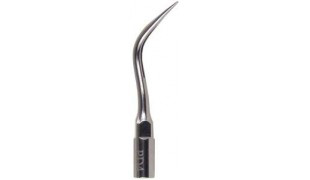 Perio Tip Subgingival Scaling