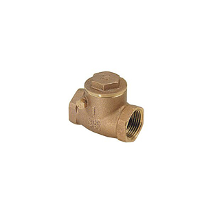 Brass Swing Check Valve 1"