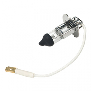 Belmont Clesta Light Bulb 24V