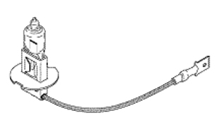 Bulb 12V 55W