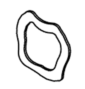 Wave Washer 5/pack