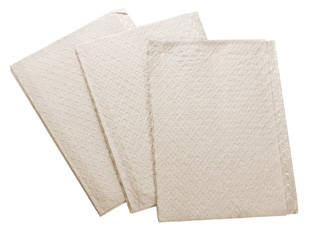 Choice Patient Towels 2 Ply