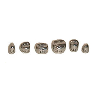 Stainless Steel 1st Permanent