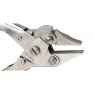Bernard Plier with Cutter