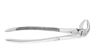 Extracting Forceps #13
