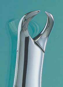 Extracting Forceps #16