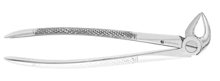 Extracting Forceps #33