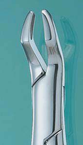 Extracting Forceps #53L