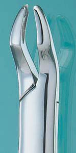 Extracting Forceps #53R