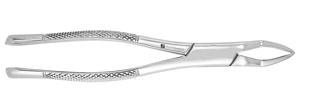 Extracting Forceps #65