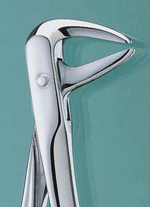 Extracting Forceps #74N